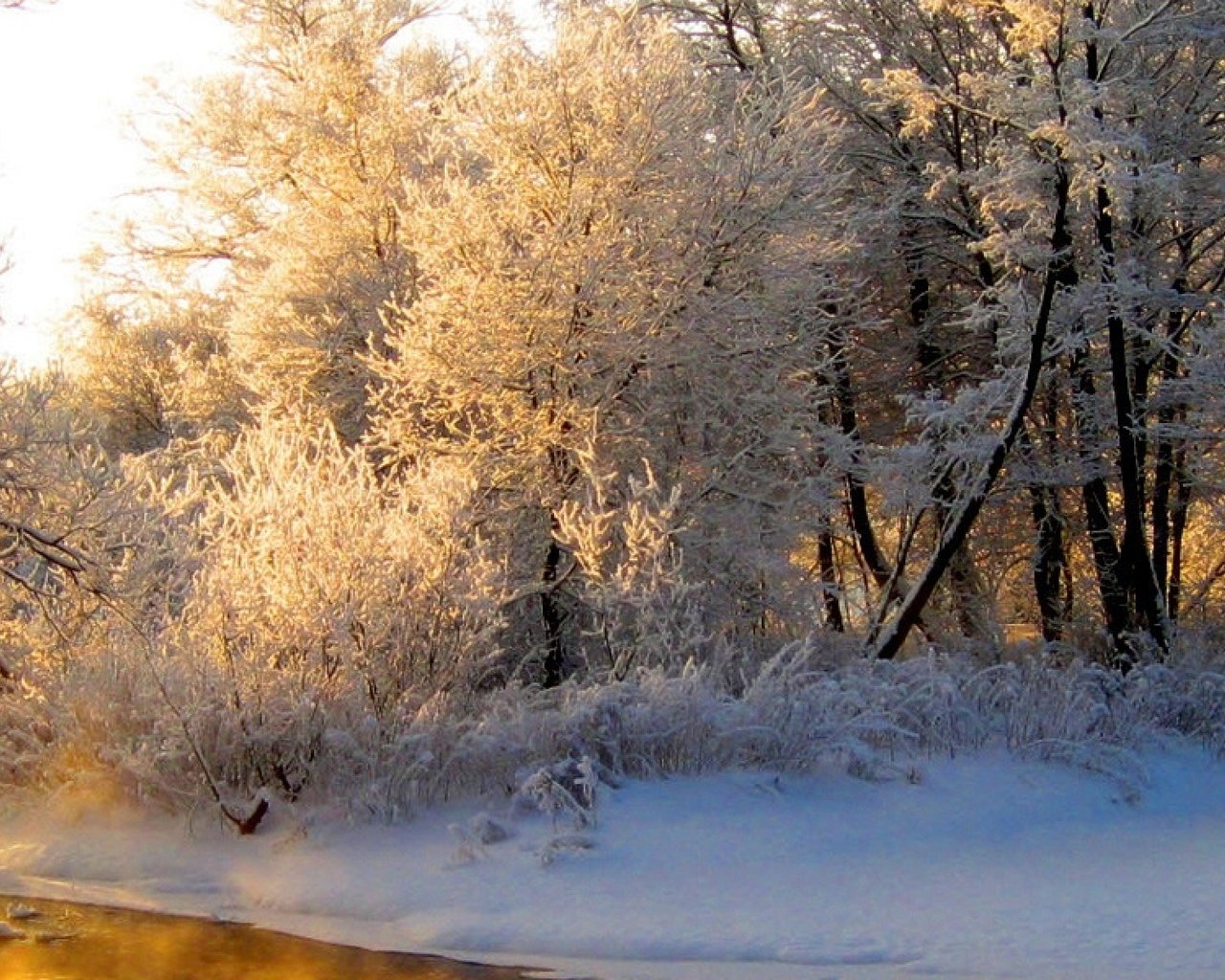 Обои свет, река, лес, зима, отражение, иней, оранжевый, седина, light, river, forest, winter, reflection, frost, orange, gray разрешение 3840x1200 Загрузить