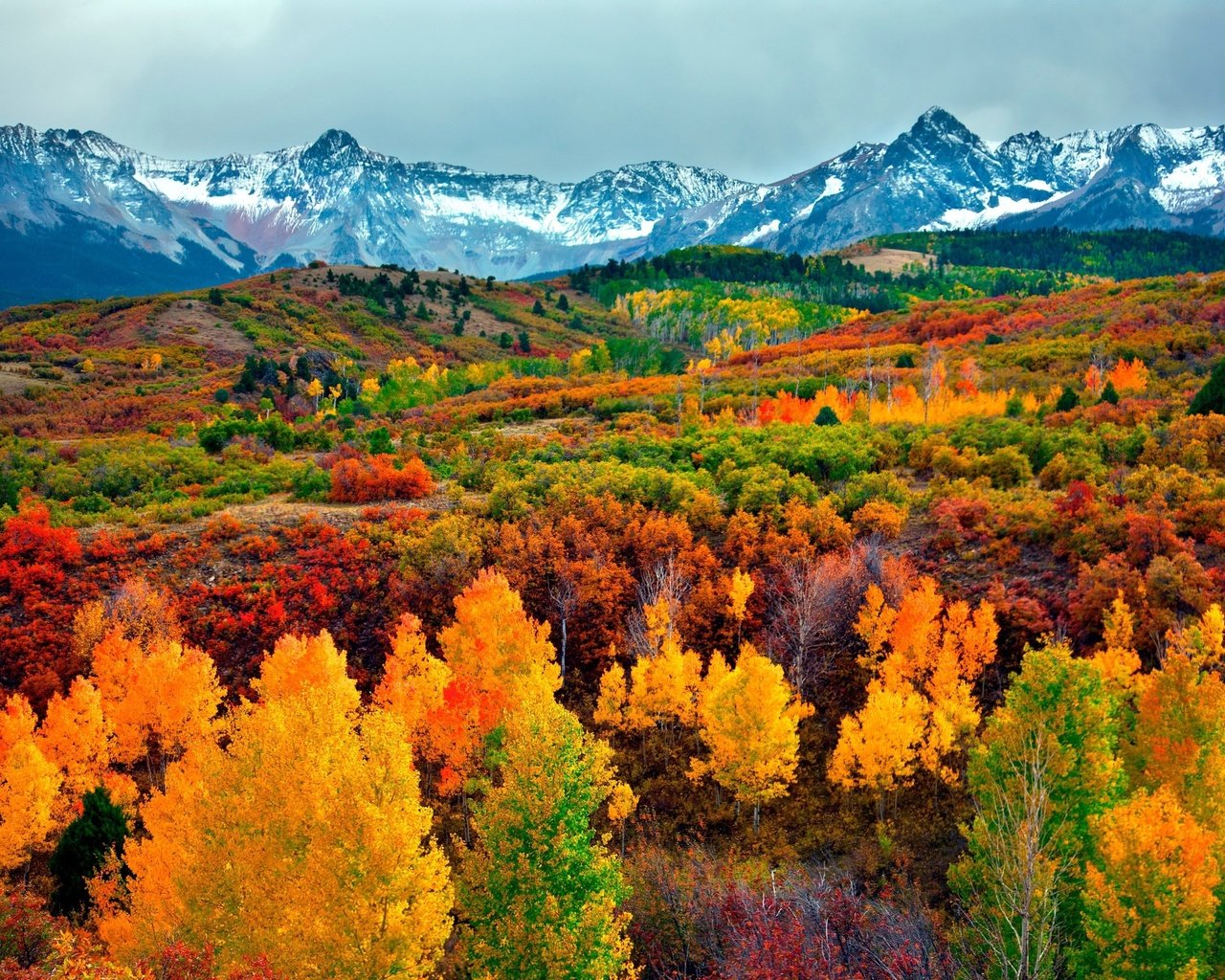 Обои небо, деревья, горы, снег, лес, осень, the sky, trees, mountains, snow, forest, autumn разрешение 3000x2000 Загрузить