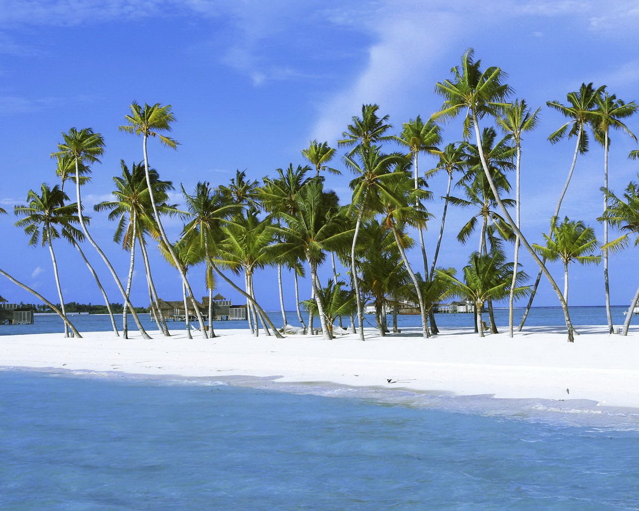 Обои песок, пальмы, остров, пальмы лагуна, sand, palm trees, island разрешение 1920x1080 Загрузить