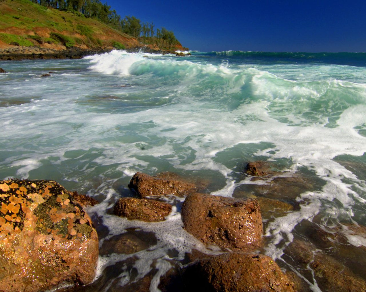 Обои скалы, побережье, океан, гавайи, kealia shoreline, kauai, rocks, coast, the ocean, hawaii разрешение 1920x1080 Загрузить