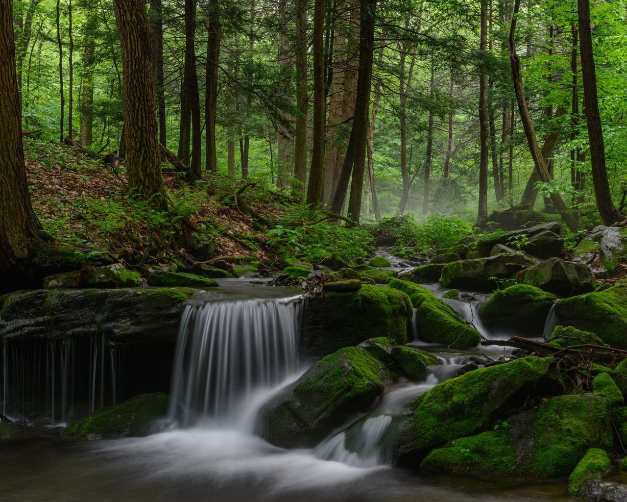 Обои деревья, река, природа, лес, водопад, мох, trees, river, nature, forest, waterfall, moss разрешение 2048x1365 Загрузить