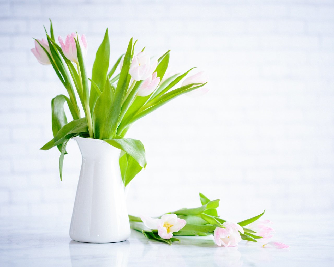Обои цветы, бутоны, лепестки, букет, тюльпаны, ваза, flowers, buds, petals, bouquet, tulips, vase разрешение 5664x3776 Загрузить