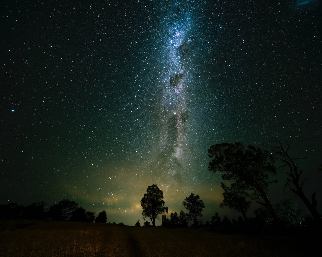 Обои деревья, космос, звездное небо, млечный путь, trees, space, starry sky, the milky way разрешение 2560x1600 Загрузить