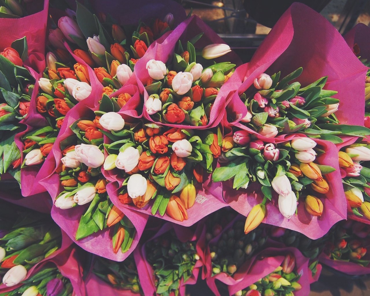 Обои цветы, тюльпаны, букеты, flowers, tulips, bouquets разрешение 2048x1536 Загрузить