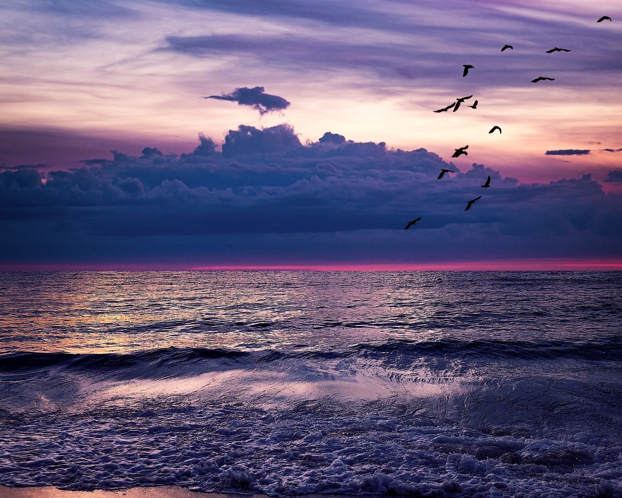 Обои небо, облака, волны, море, горизонт, птицы, the sky, clouds, wave, sea, horizon, birds разрешение 7680x4320 Загрузить
