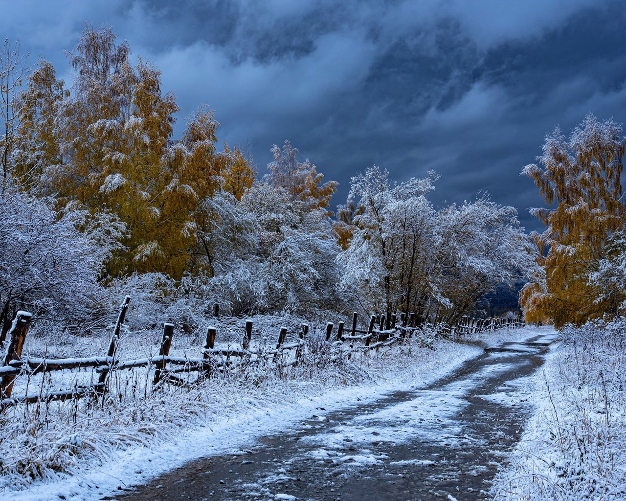 Обои дорога, деревья, снег, осень, забор, казахстан, road, trees, snow, autumn, the fence, kazakhstan разрешение 1920x1281 Загрузить