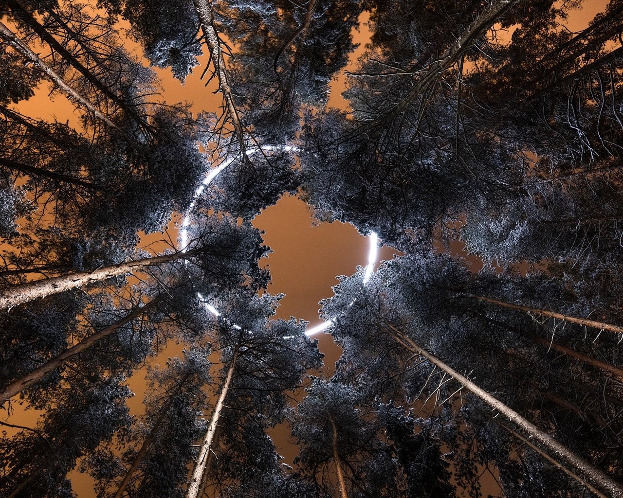 Обои небо, деревья, круг, the sky, trees, round разрешение 2047x1300 Загрузить