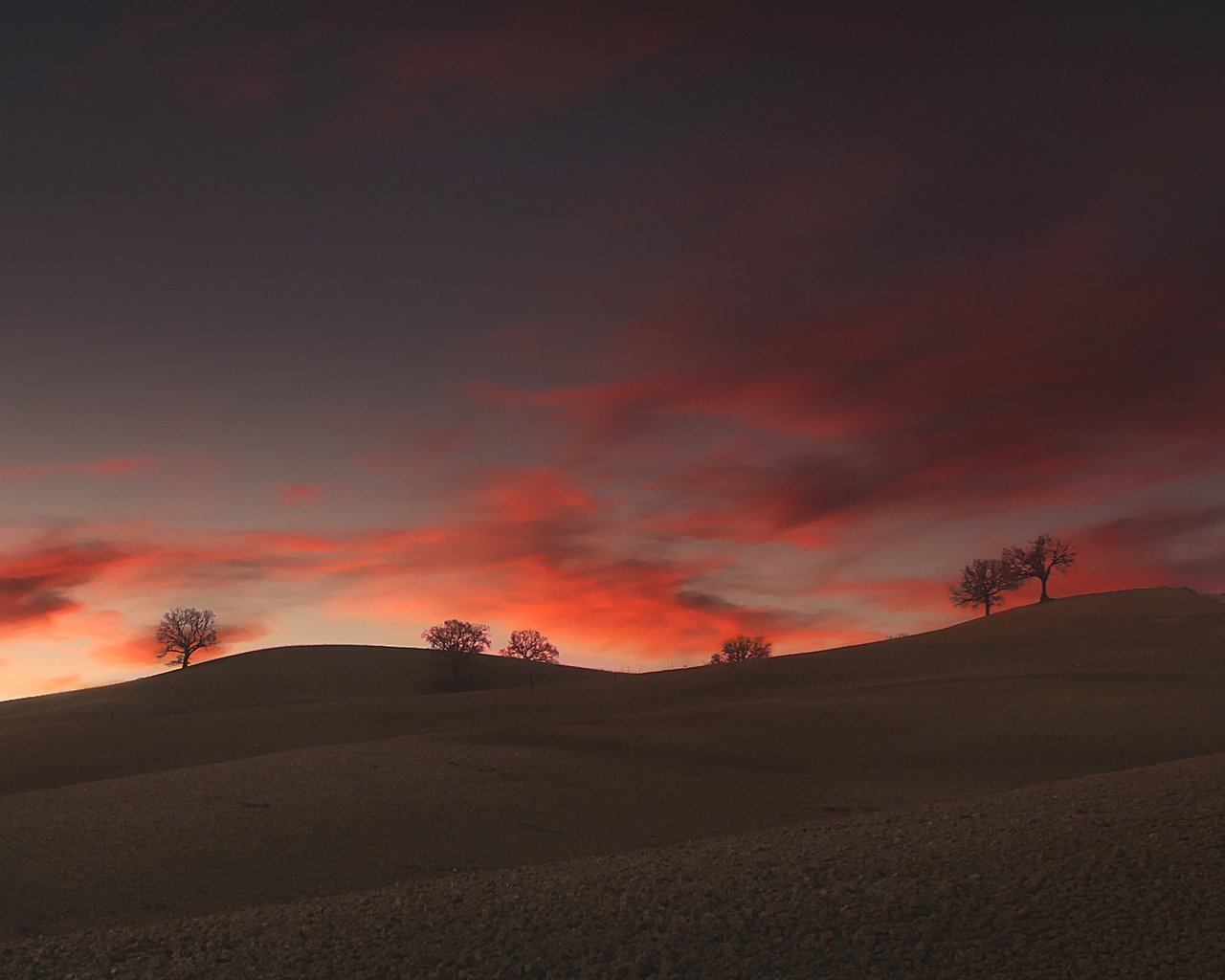 Обои облака, деревья, холмы, clouds, trees, hills разрешение 2500x1406 Загрузить