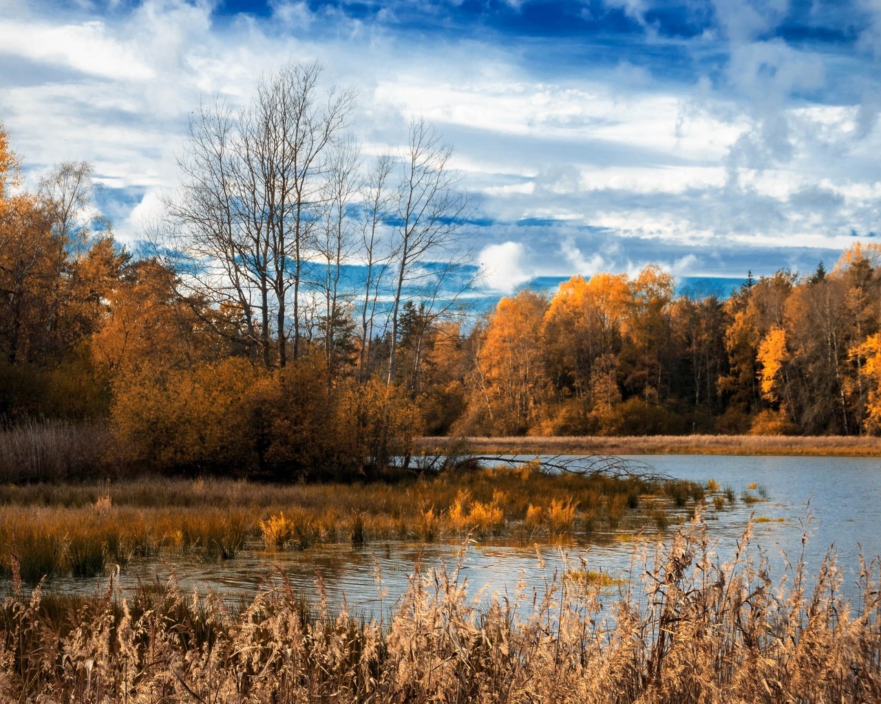 Обои озеро, лес, lake, forest разрешение 3840x2160 Загрузить