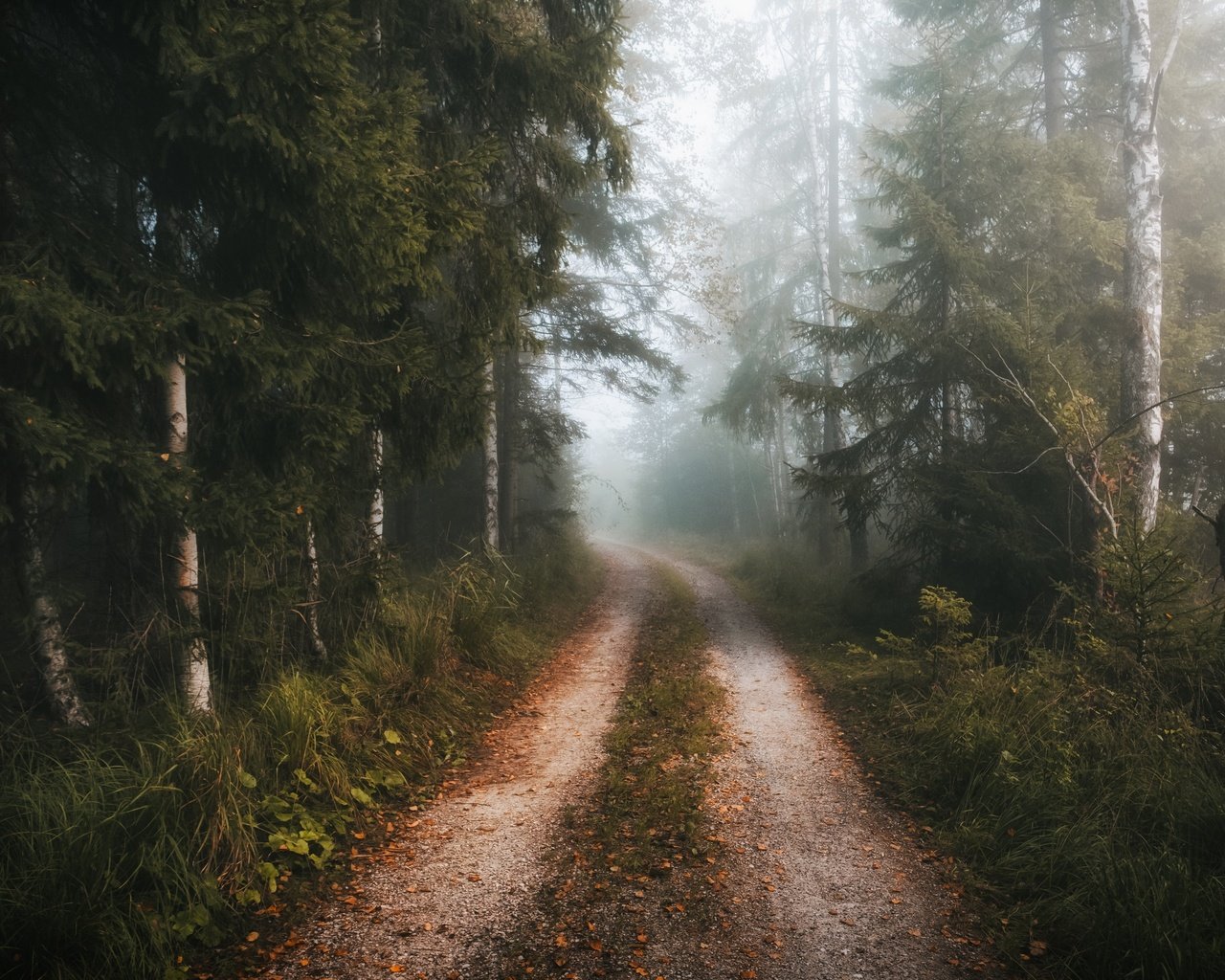 Обои дорога, лес, туман, осень, road, forest, fog, autumn разрешение 3840x2160 Загрузить