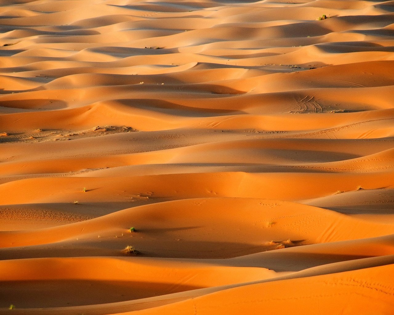 Обои песок, пустыня, бархан, sand, desert, barkhan разрешение 1920x1080 Загрузить