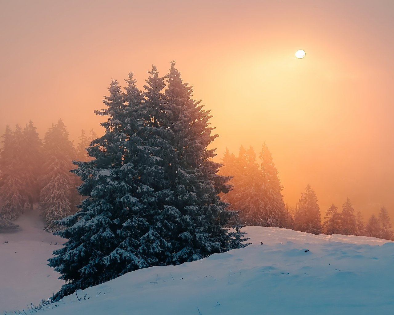 Обои закат, зима, туман, sunset, winter, fog разрешение 3072x1728 Загрузить