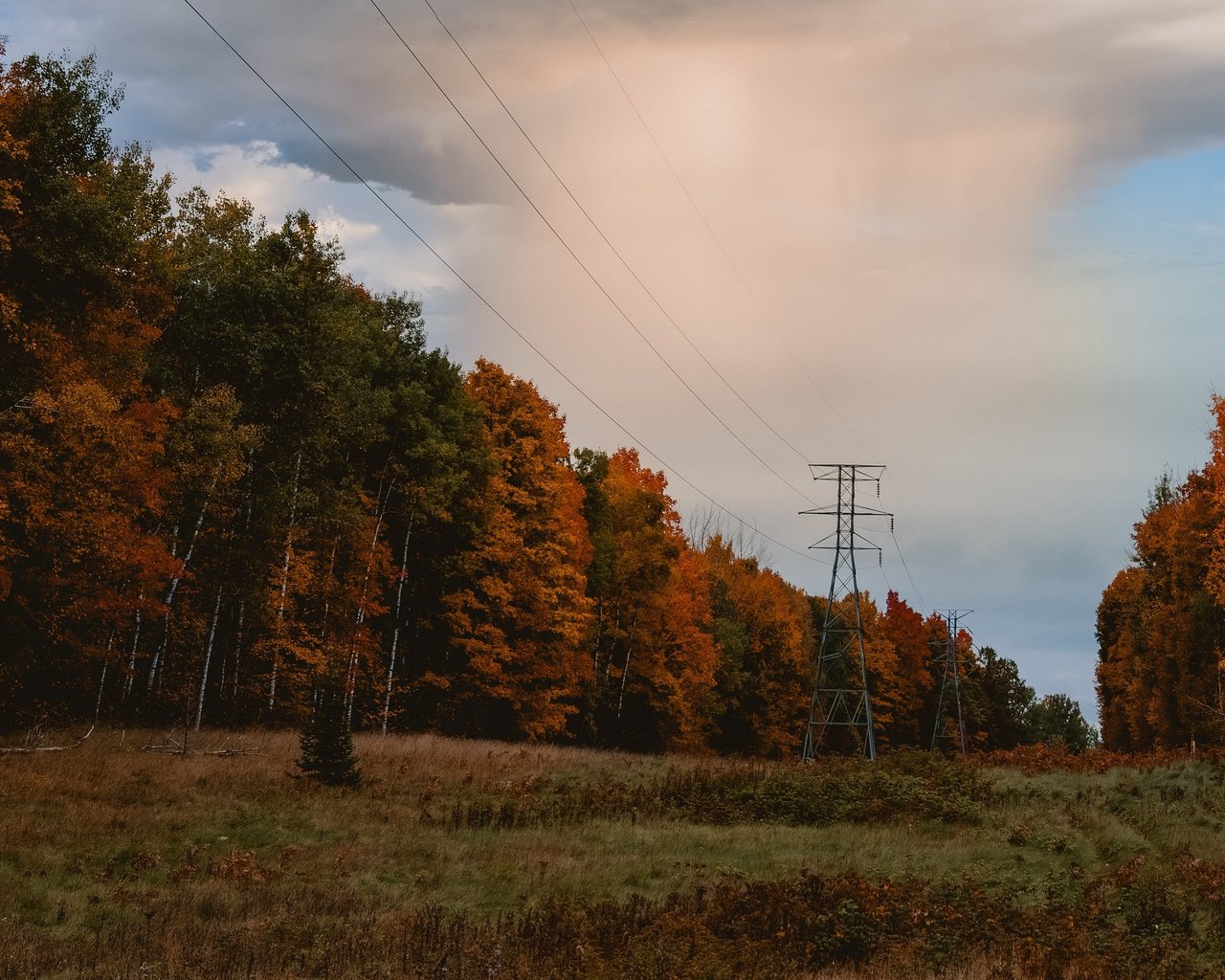 Обои природа, осень, лэп, nature, autumn, power lines разрешение 3840x2160 Загрузить