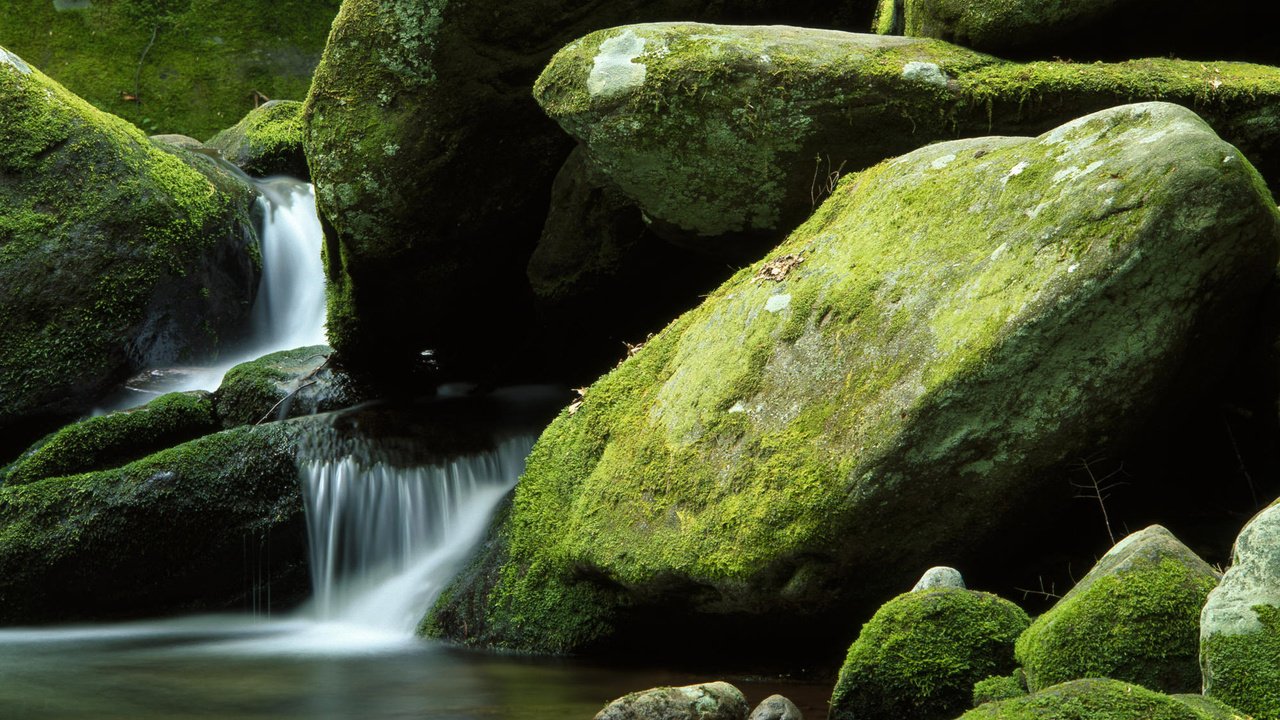 Обои природа, камни, водопад, мох, валуны, nature, stones, waterfall, moss, boulders разрешение 1920x1200 Загрузить