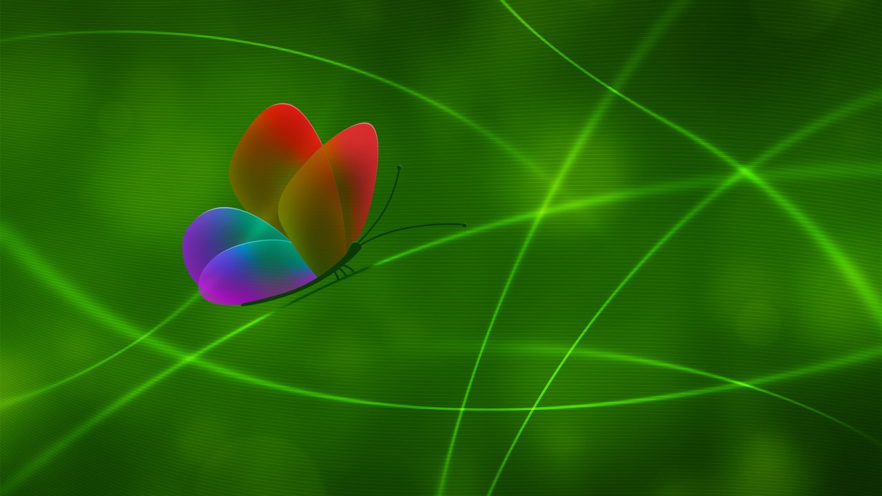 Обои линии, зелёный, цвет, бабочка, line, green, color, butterfly разрешение 2560x1600 Загрузить