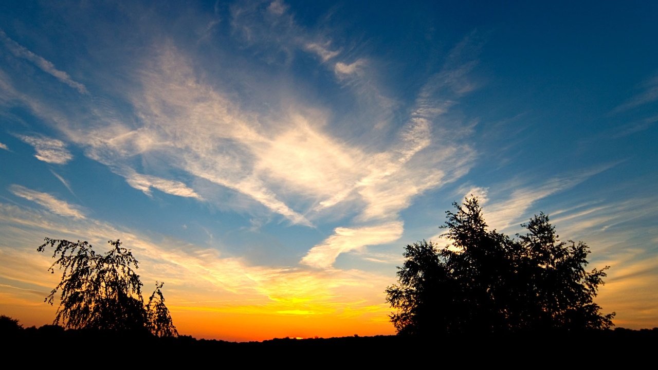 Обои небо, облака, деревья, закат, the sky, clouds, trees, sunset разрешение 1920x1080 Загрузить