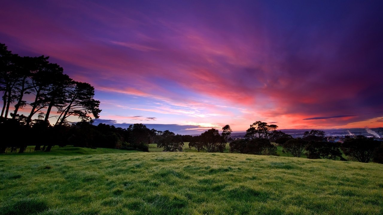 Обои небо, трава, деревья, закат, the sky, grass, trees, sunset разрешение 2560x1600 Загрузить