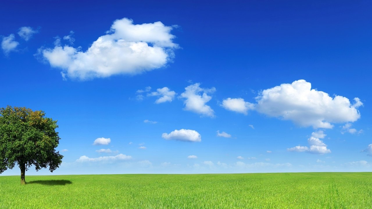 Обои облака, дерево, поле, горизонт, clouds, tree, field, horizon разрешение 3200x1200 Загрузить