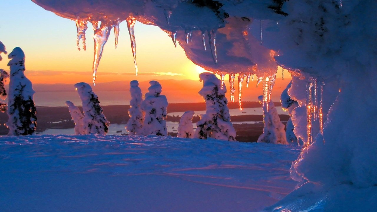 Обои деревья, снег, закат, зима, сосульки, trees, snow, sunset, winter, icicles разрешение 1920x1200 Загрузить