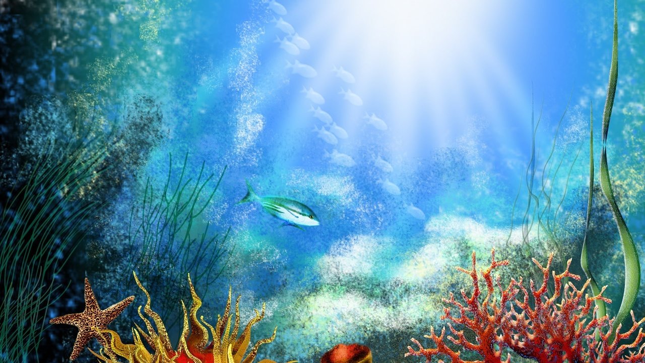 Обои рыбки, дно, кораллы, водоросли, fish, the bottom, corals, algae разрешение 1920x1200 Загрузить