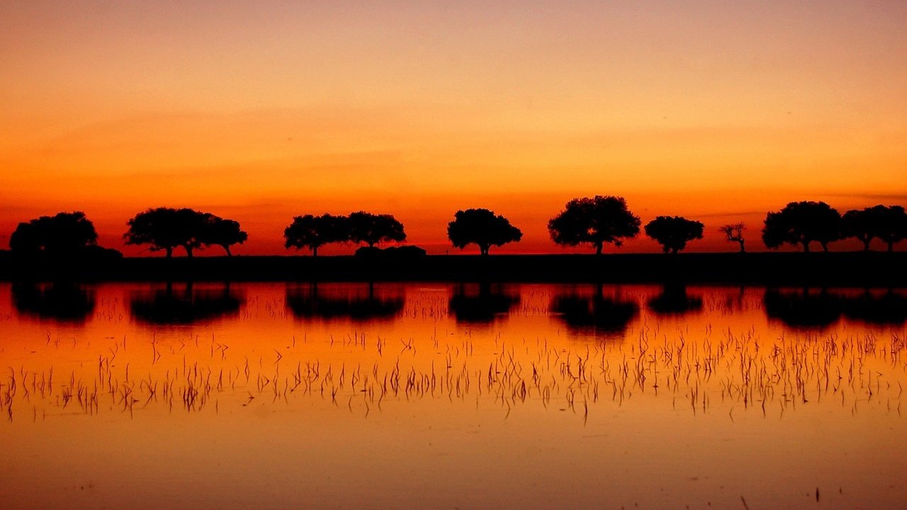 Обои деревья, озеро, закат, отражение, trees, lake, sunset, reflection разрешение 1920x1200 Загрузить