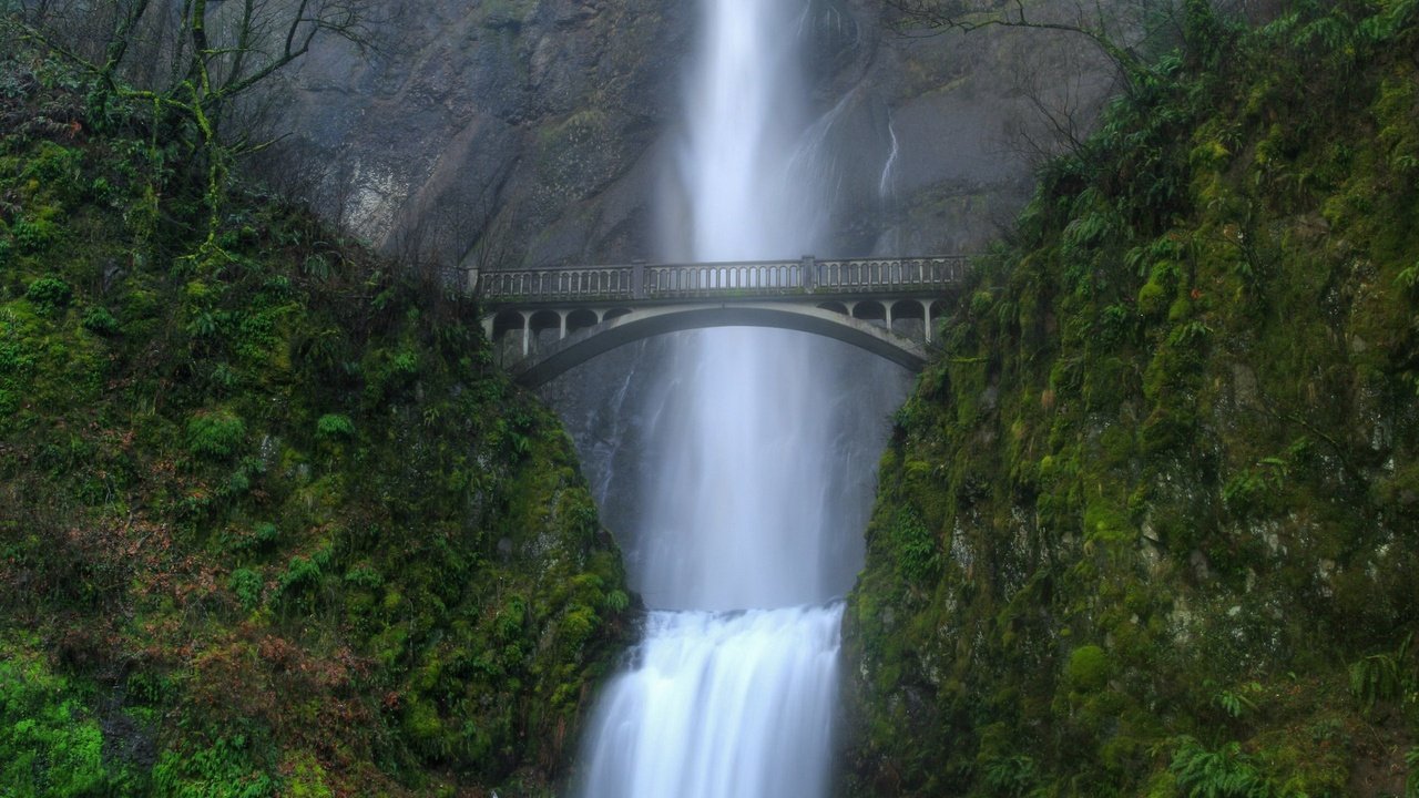 Обои зелёный, мост, водопад, green, bridge, waterfall разрешение 1920x1200 Загрузить