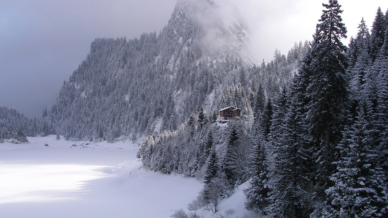 Обои снег, лес, зима, ель, snow, forest, winter, spruce разрешение 1920x1200 Загрузить