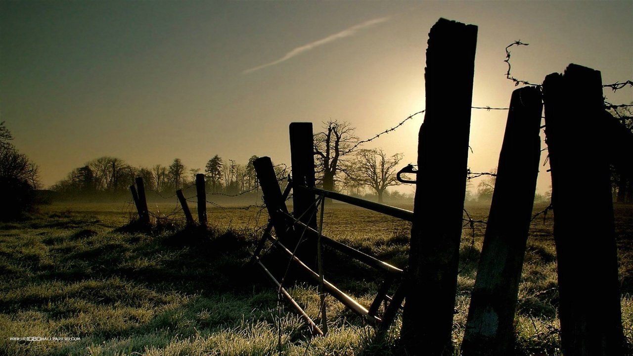 Обои свет, трава, утро, проволока, забор, ограждение, заморозки, light, grass, morning, wire, the fence, freezing разрешение 1920x1080 Загрузить