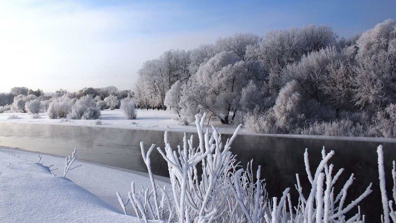 Обои небо, деревья, река, снег, природа, зима, the sky, trees, river, snow, nature, winter разрешение 1920x1200 Загрузить