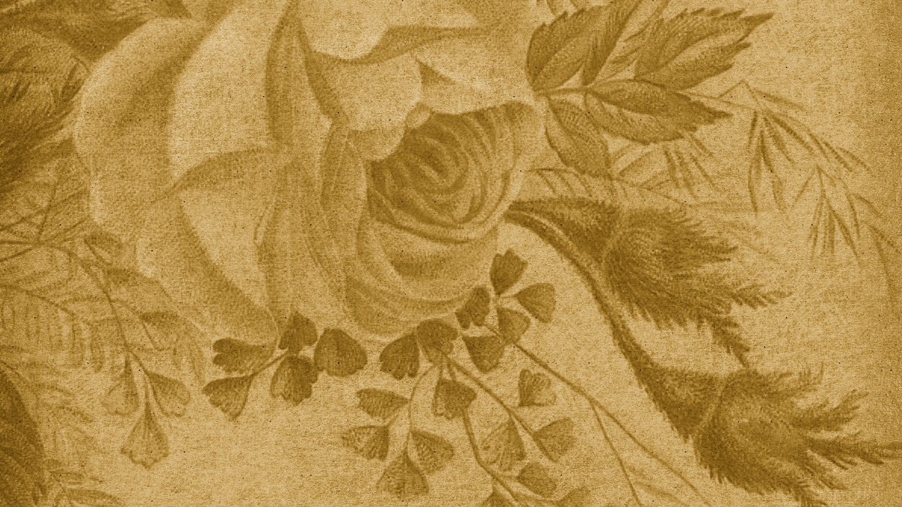 Обои текстура, винтаж, роза, texture, vintage, rose разрешение 1920x1200 Загрузить