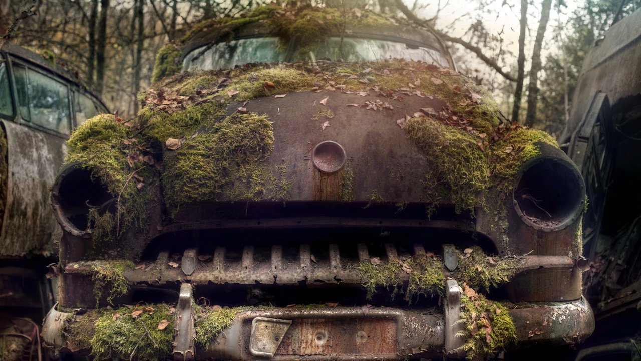 Обои машина, мох, лом, machine, moss, scrap разрешение 1920x1200 Загрузить