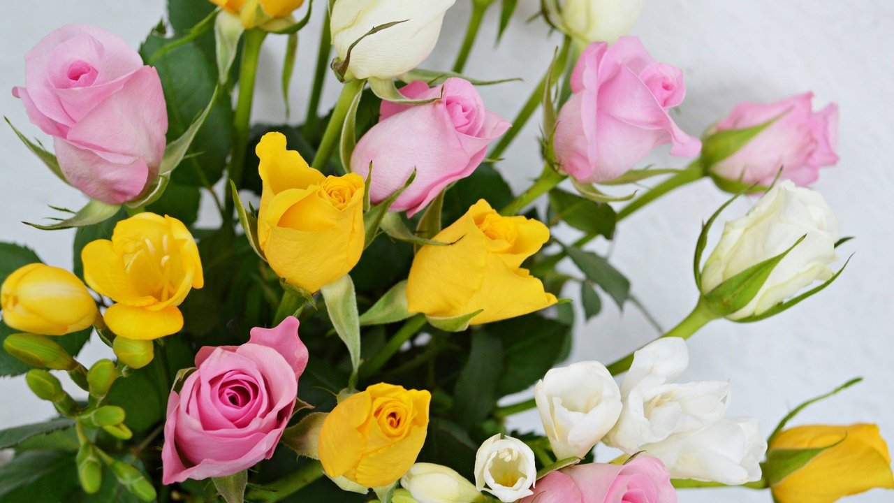 Обои цветы, розы, лепестки, бутон, букет, flowers, roses, petals, bud, bouquet разрешение 2048x1362 Загрузить