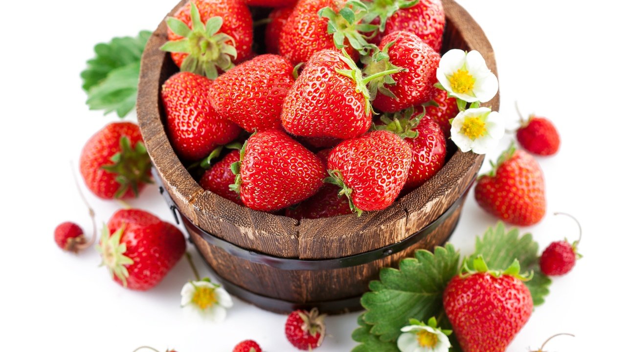 Обои цветы, листва, красная, клубника, ягоды, земляника, бочонок, flowers, foliage, red, strawberry, berries, strawberries, barrel разрешение 4254x3633 Загрузить