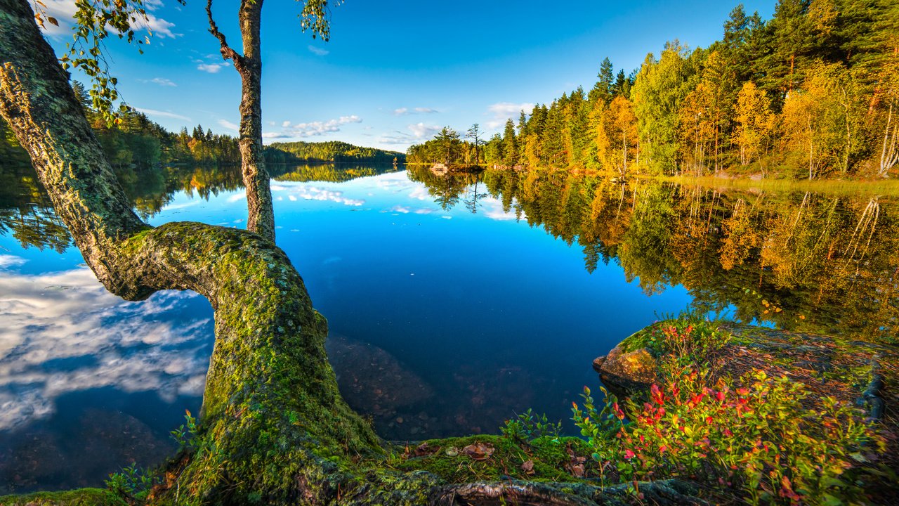 Обои озеро, дерево, лес, отражение, норвегия, норвегии, бускеруд, sætre, хурум, lake, tree, forest, reflection, norway, buskerud, hurum разрешение 2048x1273 Загрузить