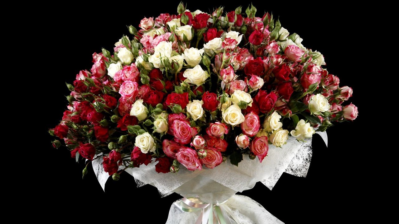Обои цветы, розы, красота, черный фон, букет, flowers, roses, beauty, black background, bouquet разрешение 2560x1707 Загрузить