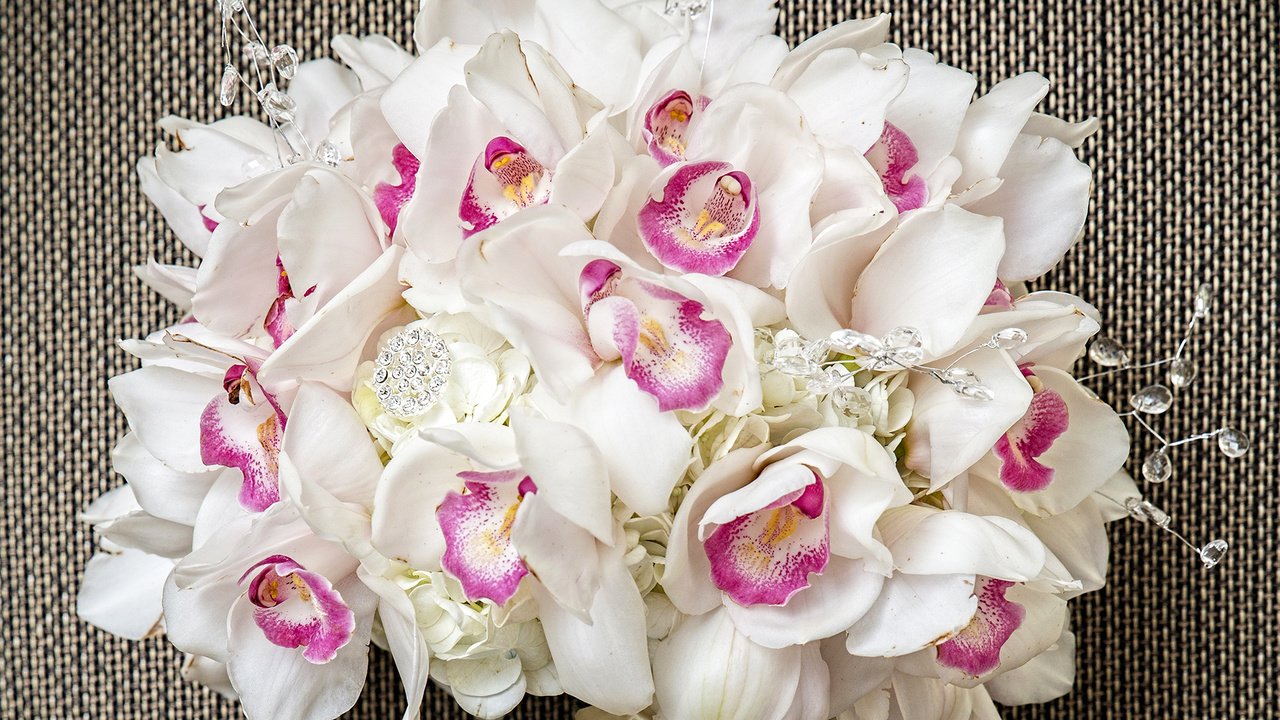 Обои букет, белые, орхидеи, орхидею, букеты, bouquet, white, orchids, orchid, bouquets разрешение 4000x3000 Загрузить