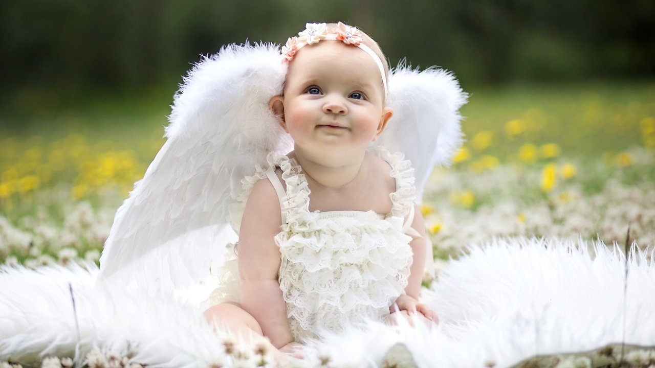Обои крылья, девочка, ангел, малышка, веночек, забавная, wings, girl, angel, baby, wreath, funny разрешение 2400x1556 Загрузить