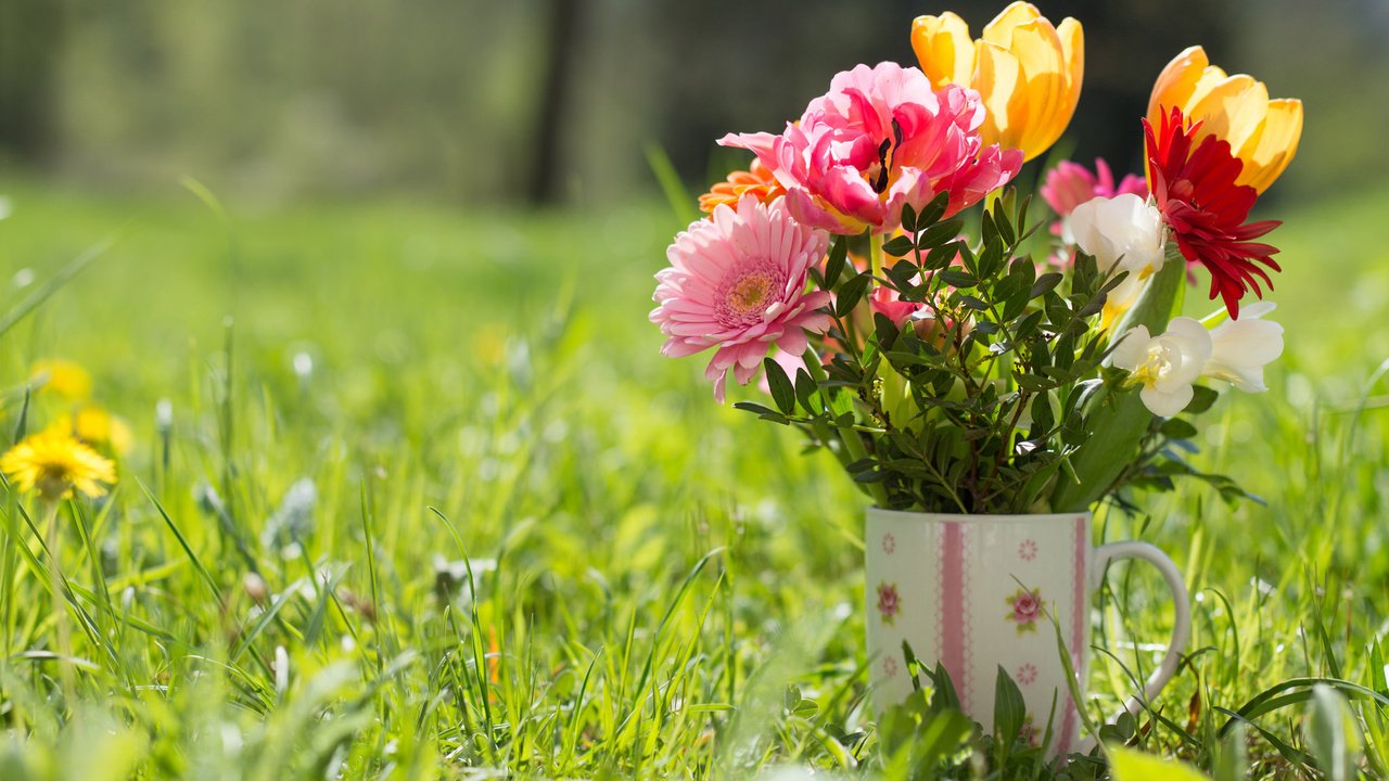 Обои трава, кружка, букет, тюльпаны, герберы, grass, mug, bouquet, tulips, gerbera разрешение 2048x1362 Загрузить