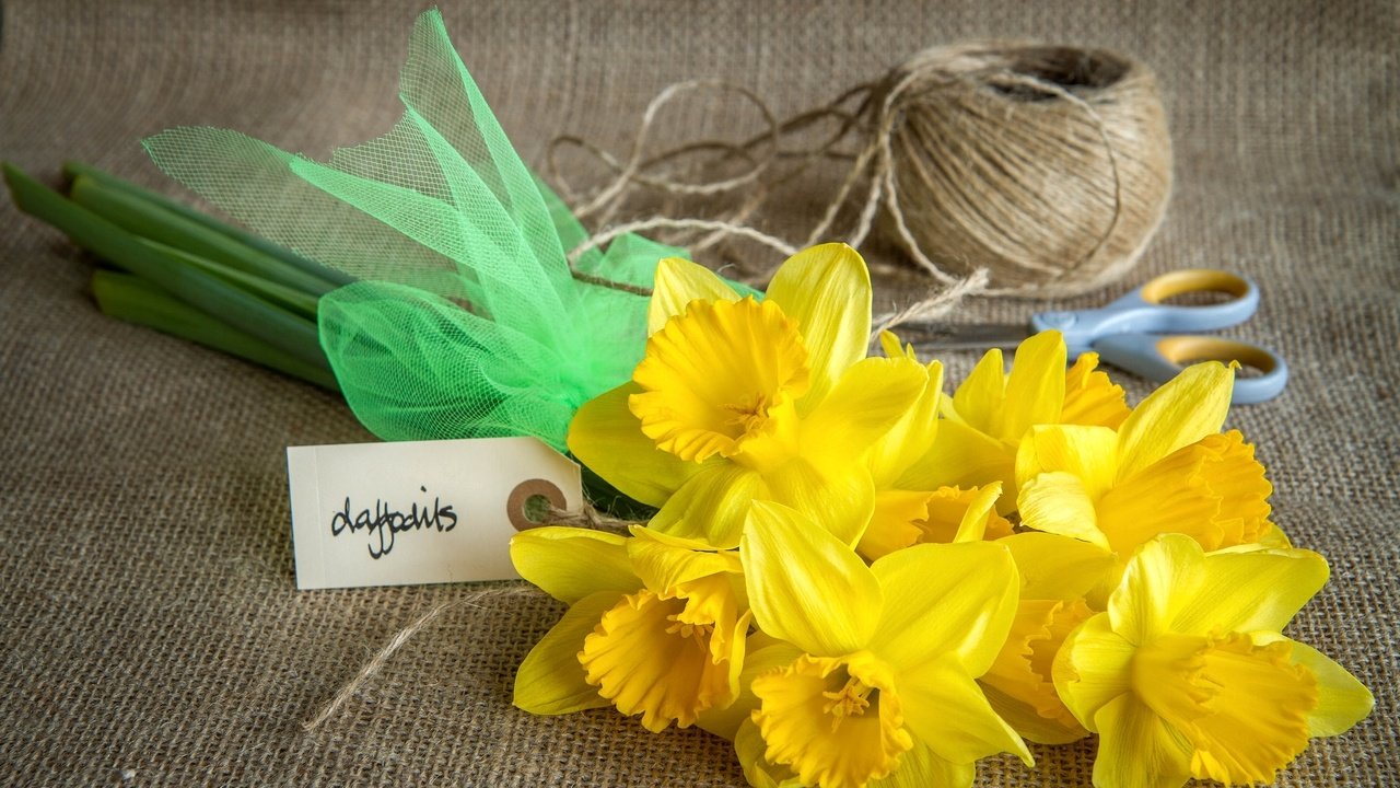 Обои цветы, желтые, нарцисс, ножницы, нитки, мешковина, flowers, yellow, narcissus, scissors, thread, burlap разрешение 2048x1365 Загрузить