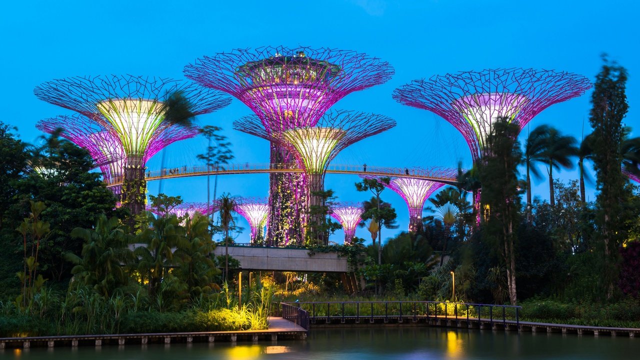 Обои деревья, сингапур, вечер, gardens by the bay, дизайн, парк, иллюминация, пальмы, пруд, строение, trees, singapore, the evening, design, park, illumination, palm trees, pond, structure разрешение 2880x1920 Загрузить