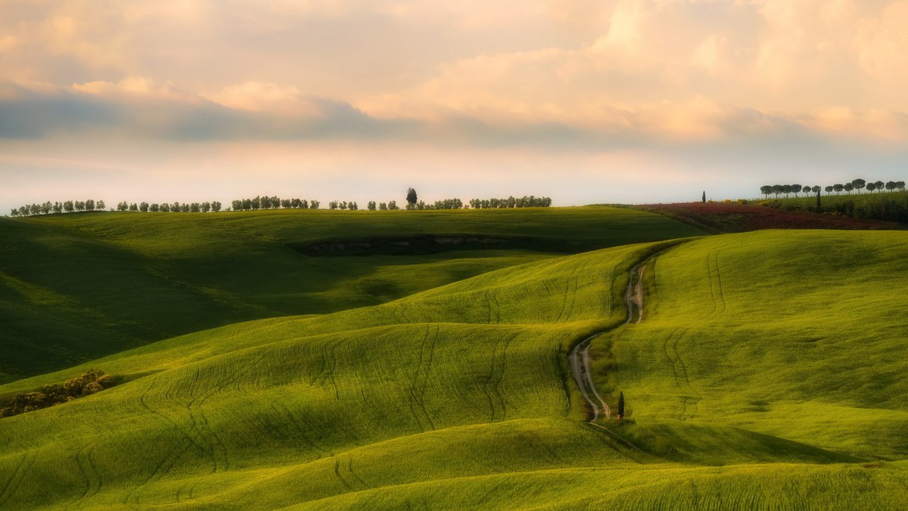 Обои небо, дорога, холмы, поле, the sky, road, hills, field разрешение 2560x1707 Загрузить