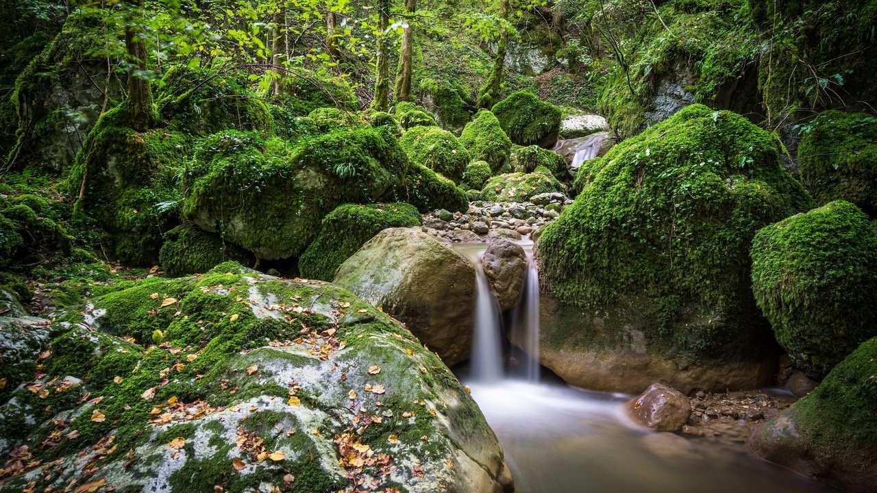 Обои вода, камни, зелень, лес, мох, water, stones, greens, forest, moss разрешение 2048x1365 Загрузить