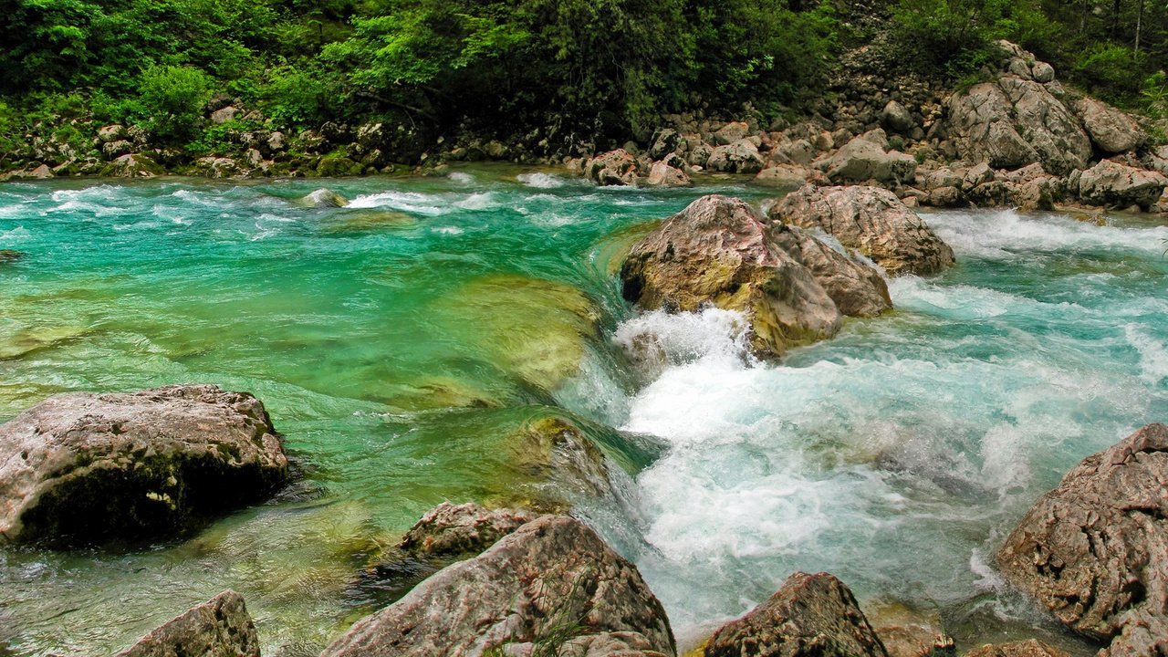 Обои река, камни, пороги, течение, словения, растиьельность, river, stones, thresholds, for, slovenia, rastitelnosti разрешение 2560x1600 Загрузить