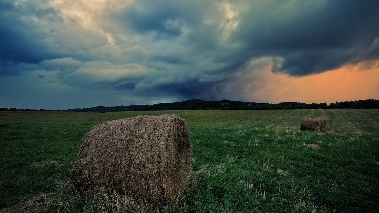 Обои небо, трава, облака, поле, горизонт, сено, тюки, рулоны, the sky, grass, clouds, field, horizon, hay, bales, rolls разрешение 1920x1275 Загрузить