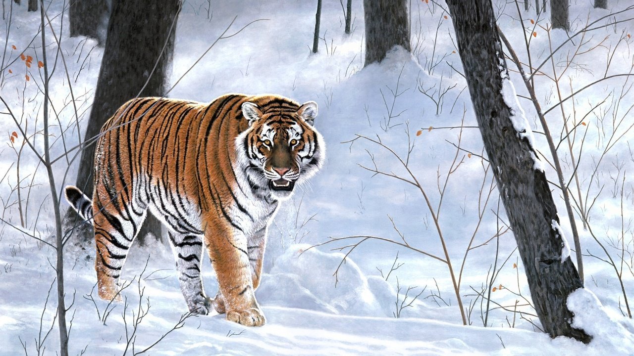 Обои тигр, снег, лес, зима, животные, тайга, живопись, emperor of siberia, charles frace, tiger, snow, forest, winter, animals, taiga, painting разрешение 2410x1775 Загрузить