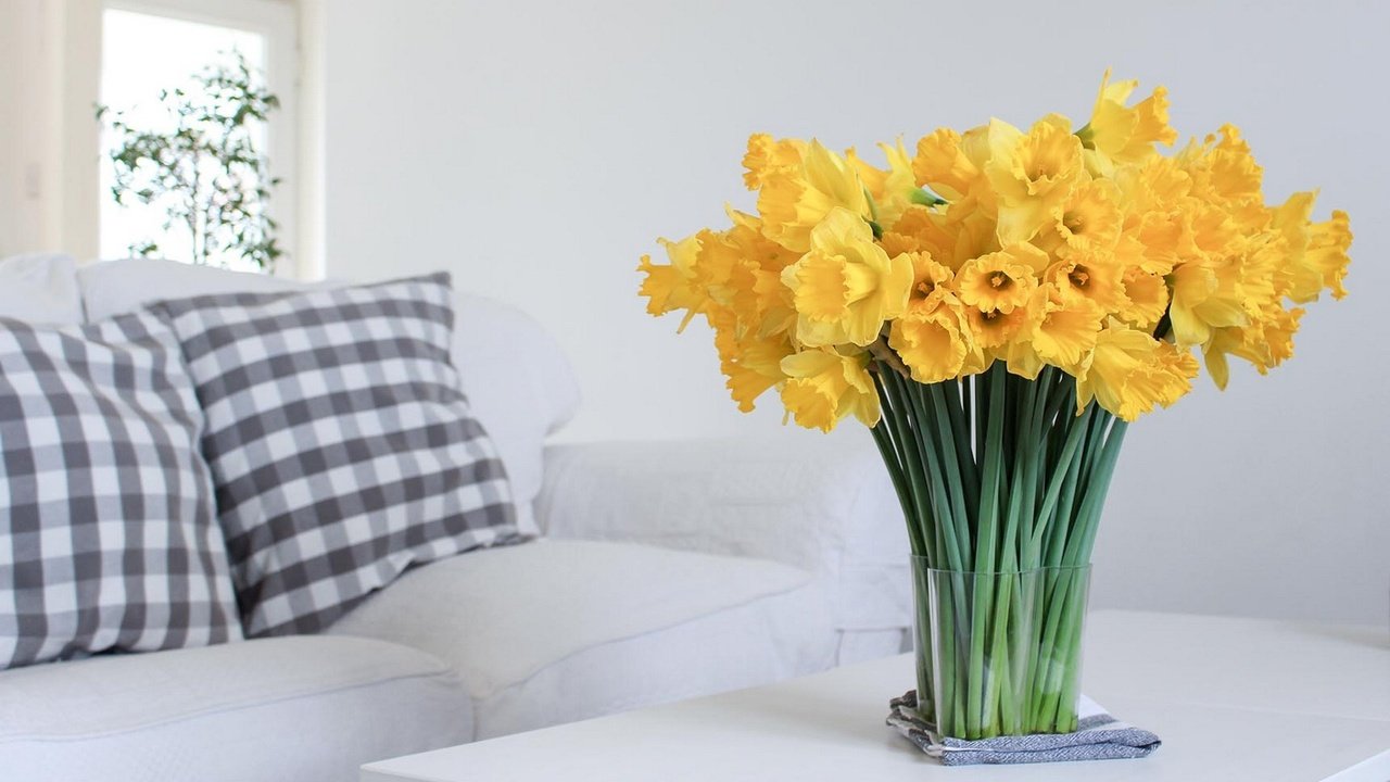 Обои цветы, букет, нарциссы, желтые, flowers, bouquet, daffodils, yellow разрешение 1920x1200 Загрузить