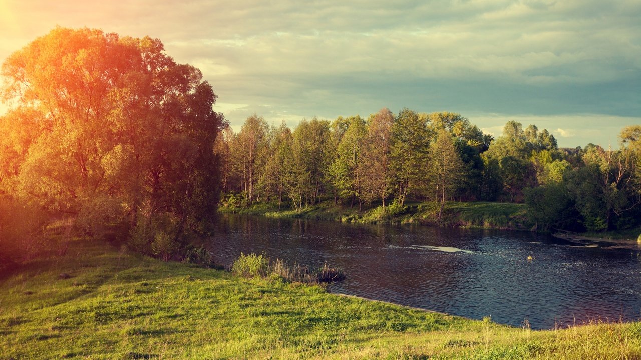 Обои деревья, река, солнце, природа, лес, trees, river, the sun, nature, forest разрешение 2880x1800 Загрузить