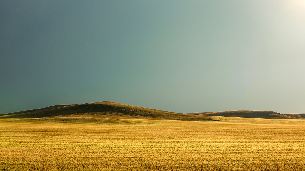 Обои небо, todd klassy, природа, поле, горизонт, сша, пшеница, холм, монтана, the sky, nature, field, horizon, usa, wheat, hill, montana разрешение 2048x1365 Загрузить