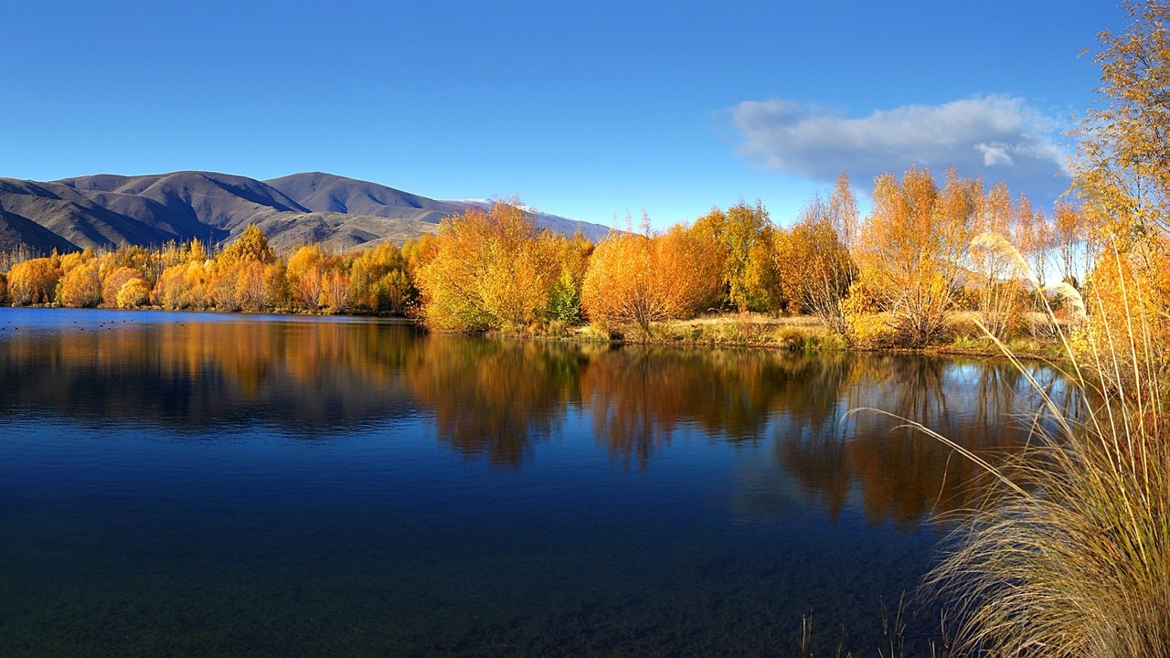 Обои небо, вода, озеро, осень, ивы, the sky, water, lake, autumn, willow разрешение 2400x1337 Загрузить