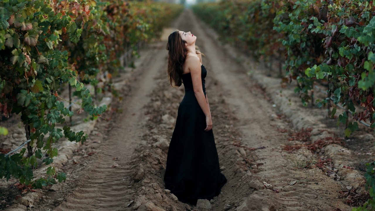 Обои дорога, девушка, настроение, лоза, черное платье, виноградник, road, girl, mood, vine, black dress, vineyard разрешение 2560x1600 Загрузить
